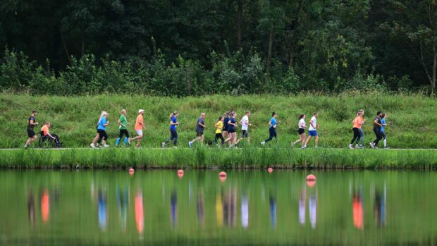Runners op de route langs de bosbaan